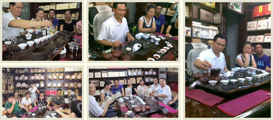 澜沧古茶柳州顺达通茶城专营店春億品鉴会