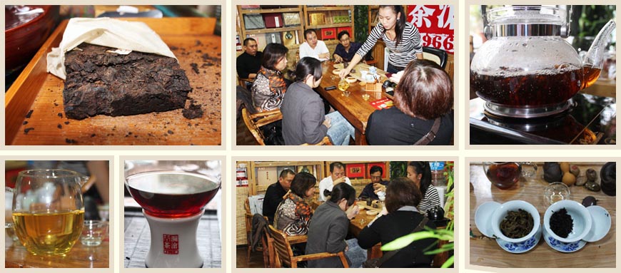 澜沧古茶郑州专营店春億茶友会